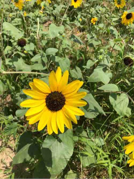 みー フォロバ100