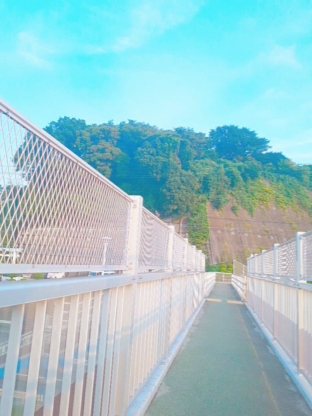 Aira- ̗̀ ‪☺︎☺︎☺︎  ́-🦍