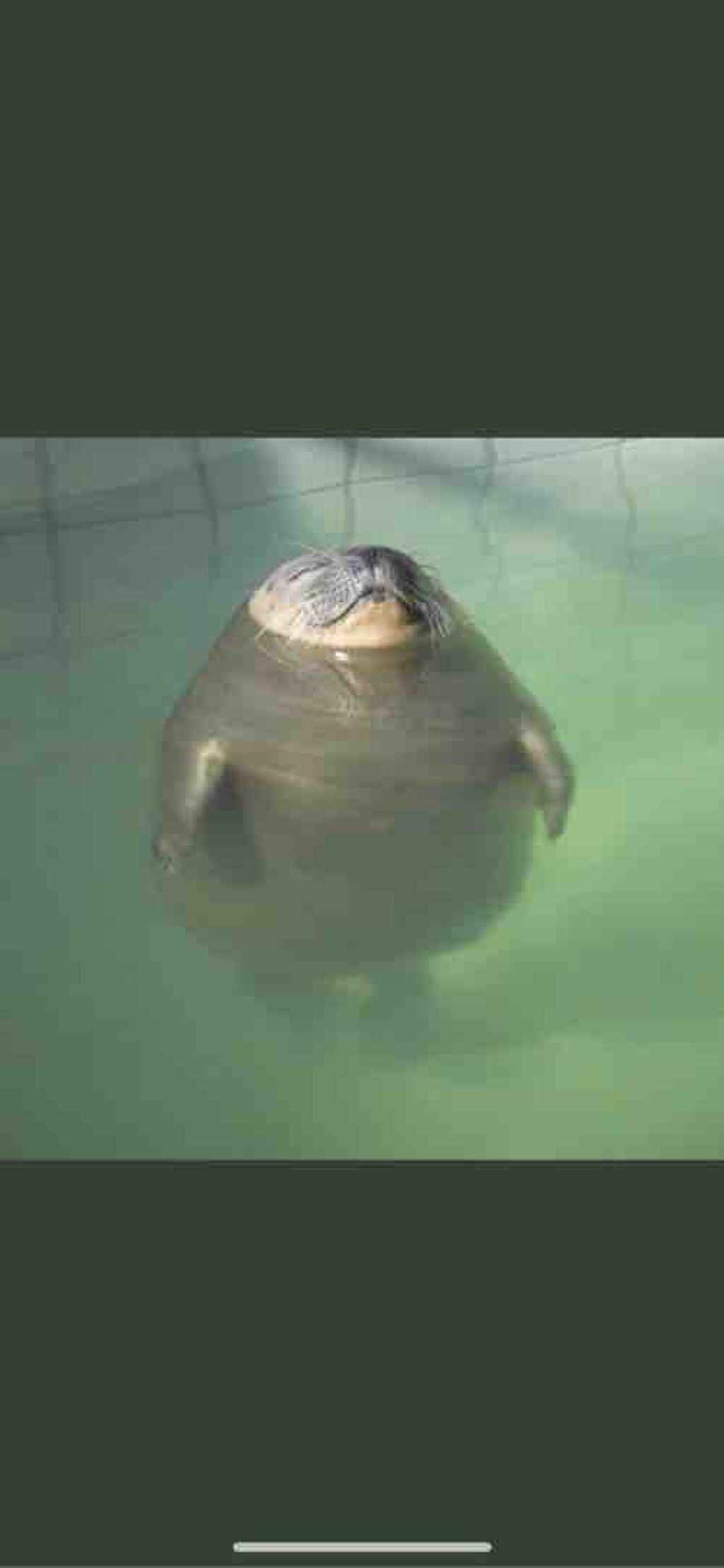 9️⃣6️⃣1️⃣0️⃣