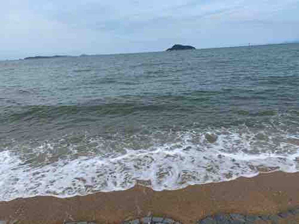 ❁きなこもち❁