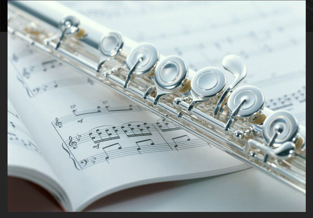 ことちゃん･:*+.(( °ω° ))/.:+*.