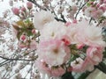 ゆぅり⸜❤︎⸝フォロバします