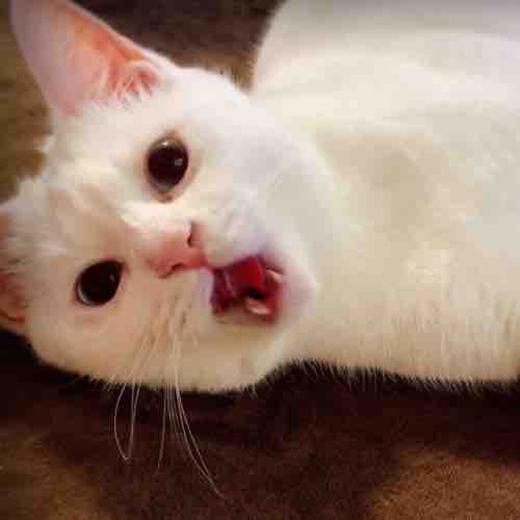 ma yu✱フォロバ100%中