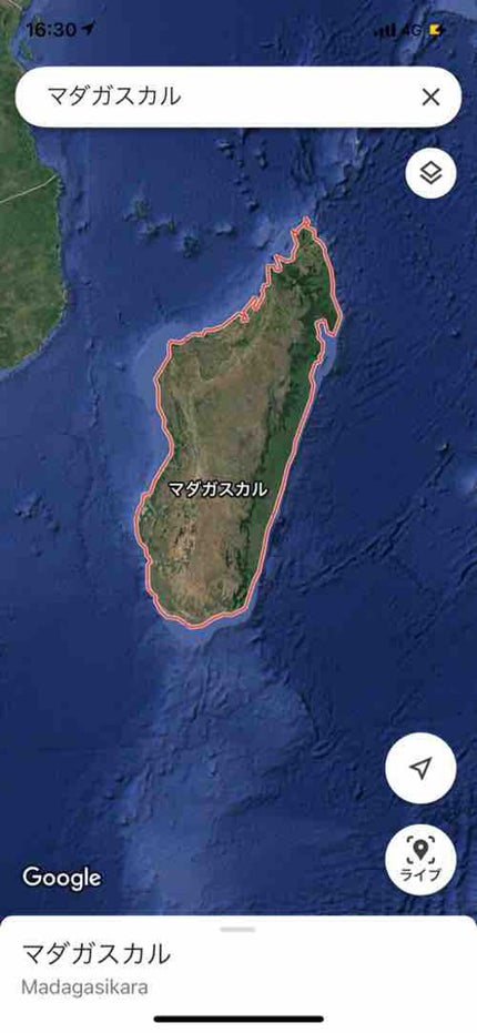 まままねこいぬ