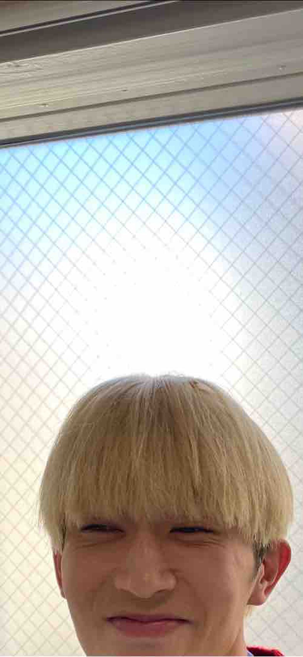 わらびいちご🍓フォロバ100