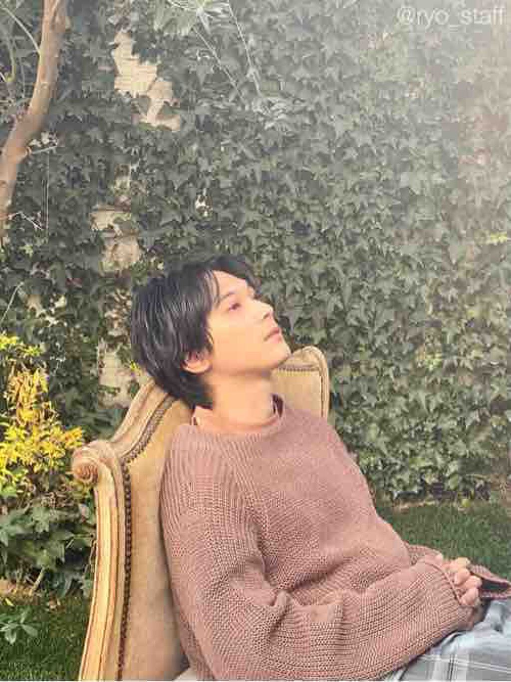  もも フォロバ100