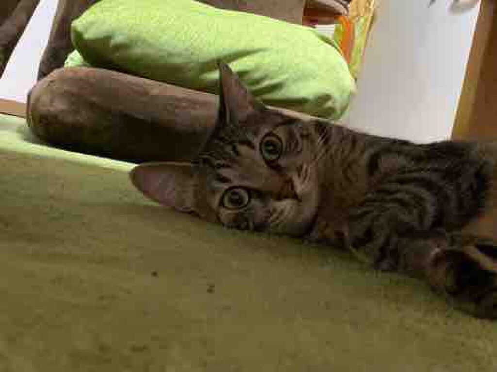 ニキビに悩む人