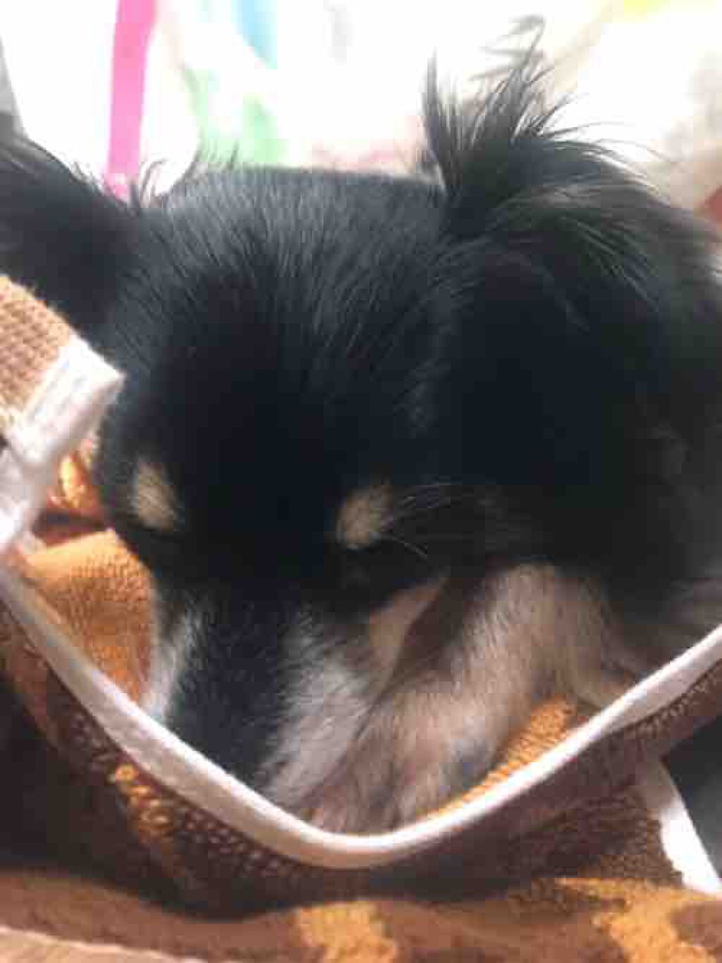 ANNA@.jpフォロバ○LIPSパートナー