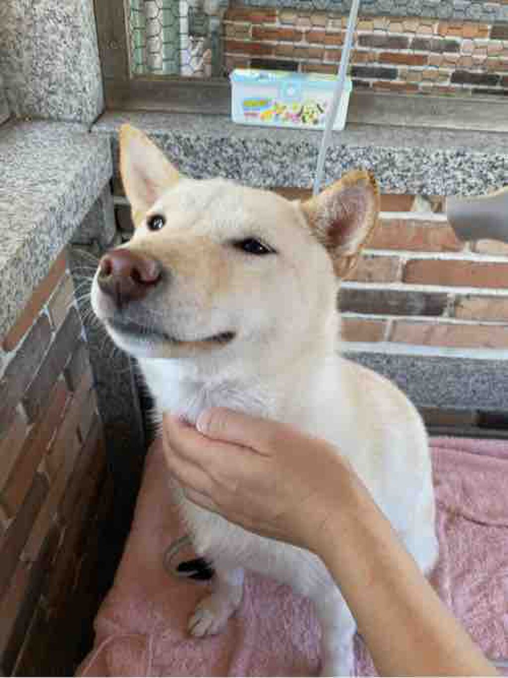 м ᴀ ɪ﻿ ◡̈⃝︎