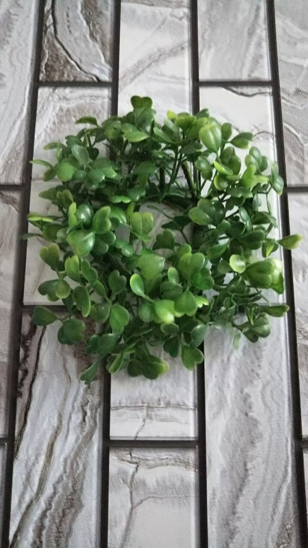 you 🌵フォロバ