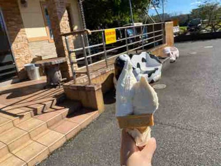 世界のちよたん🍊