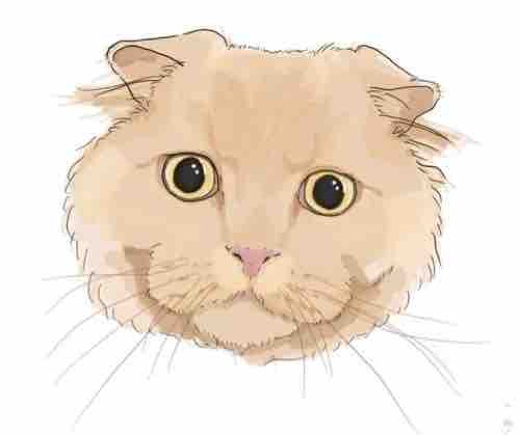 しゃるんこせんせー。