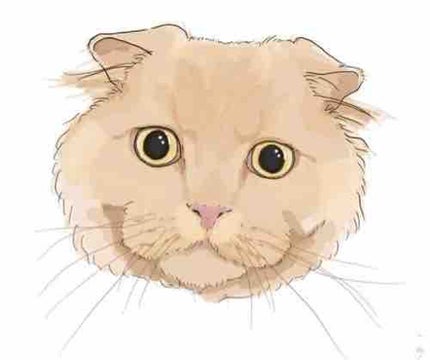 しゃるんこせんせー。