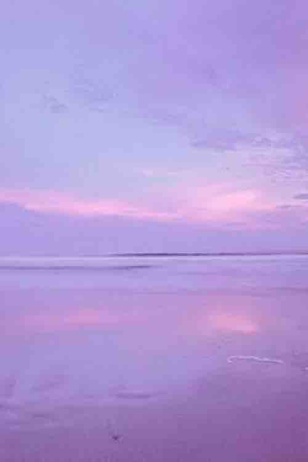 女子力高めたい女バス