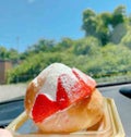 テラ