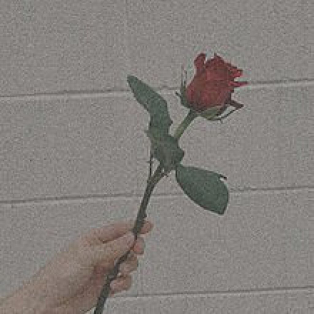 美味しいティッシュ