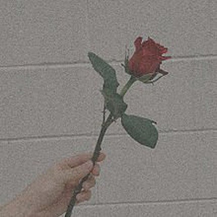 美味しいティッシュ