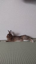 にこ