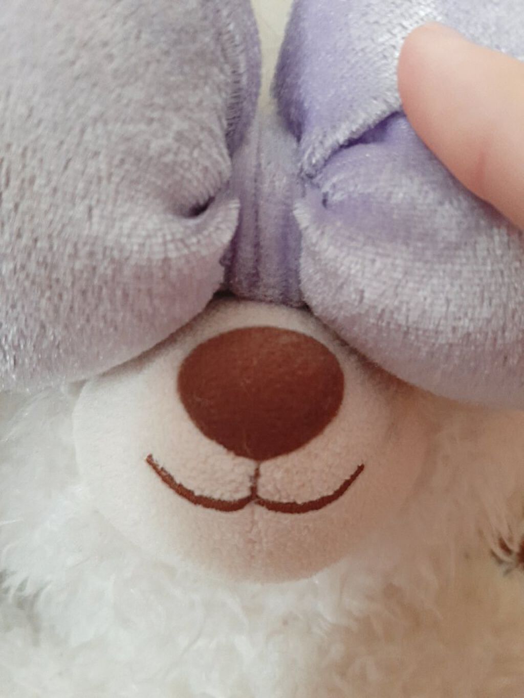 りんごちょこ🧸