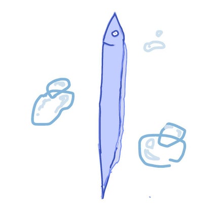 たちうお(一重)