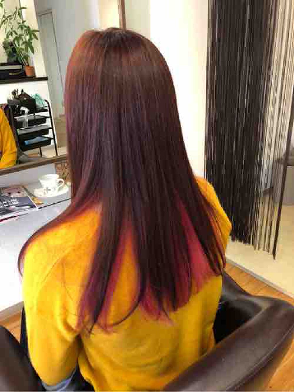 クロマメ🐈‍⬛