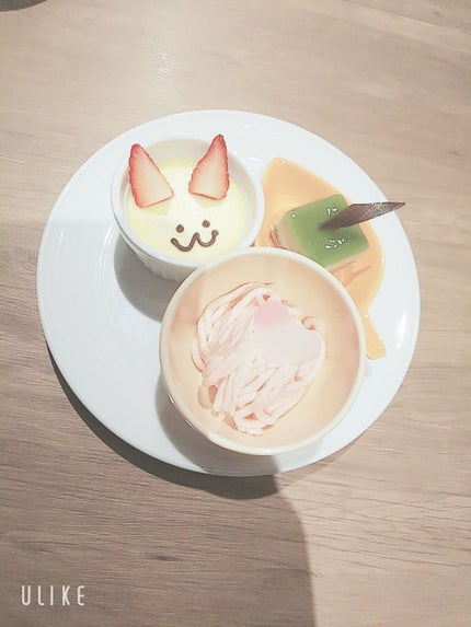 あやまる@フォロバ100🐼