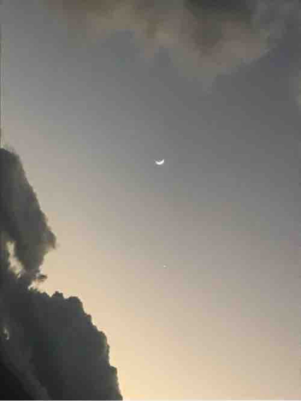 理想になりたい！