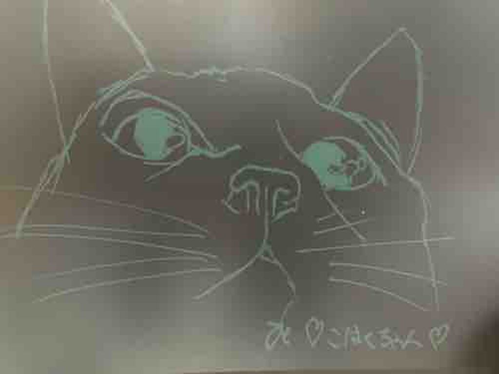 こちゃーた先生