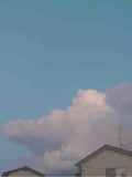 まお