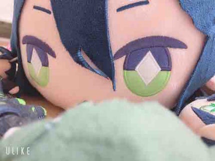 ジュゴンは人魚だよ