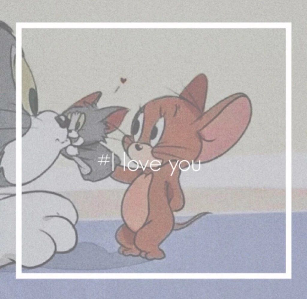 サメミント🌿🍊