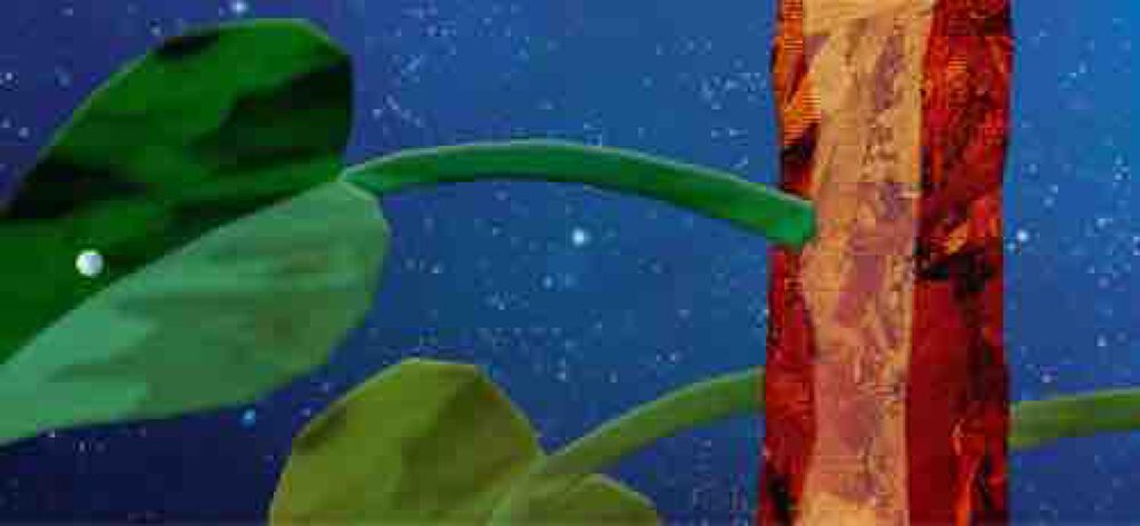 216@フォロバ100%します！