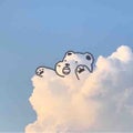 ぽぽ☁️(投稿ある方フォロバ)