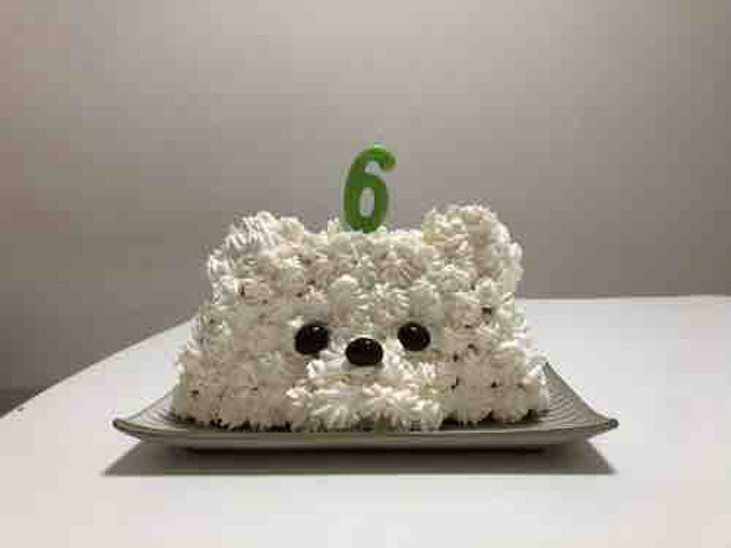 ぽんぽんくまちゃん