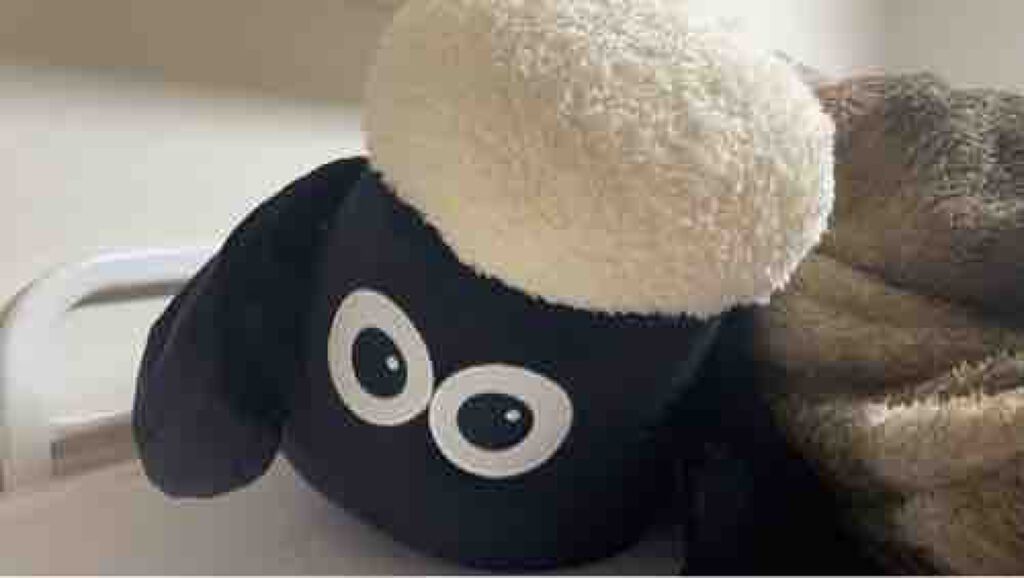 ぼんぼんぼんこ