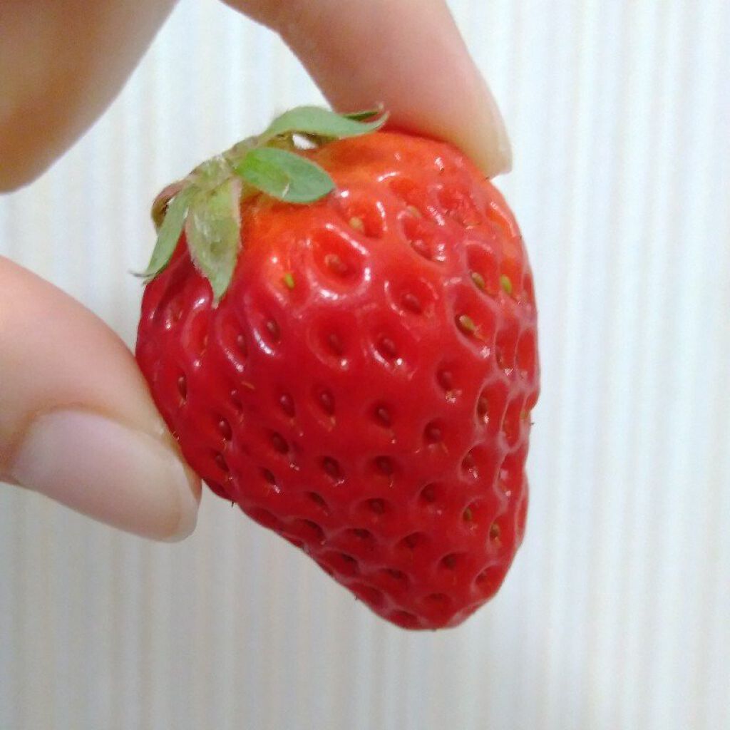 ホワイトいちご