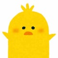 ひよこ🐣 フォロバ100です！