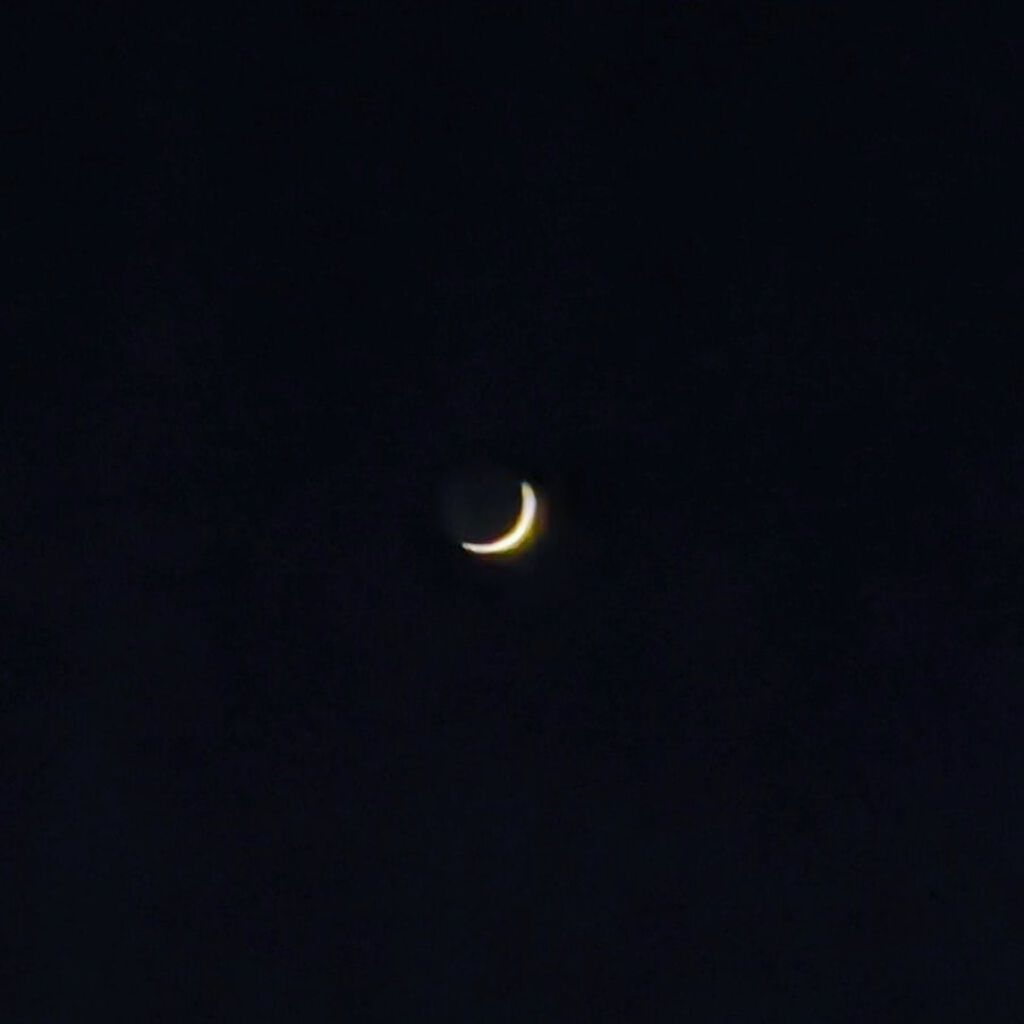 使い切りほんね