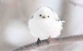 ワタアメ…・ω・)つ