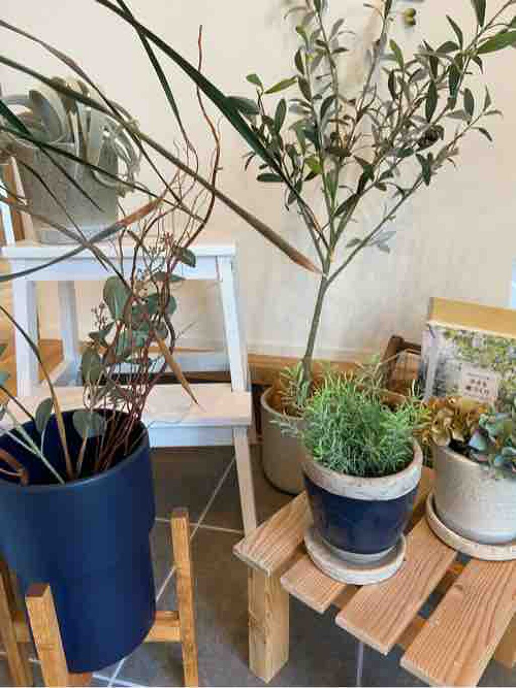 fantastic_cosme_6n1p