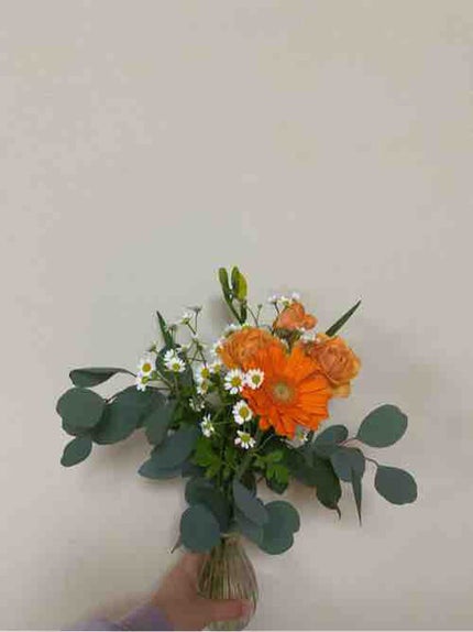 早く卵になりたい(?)