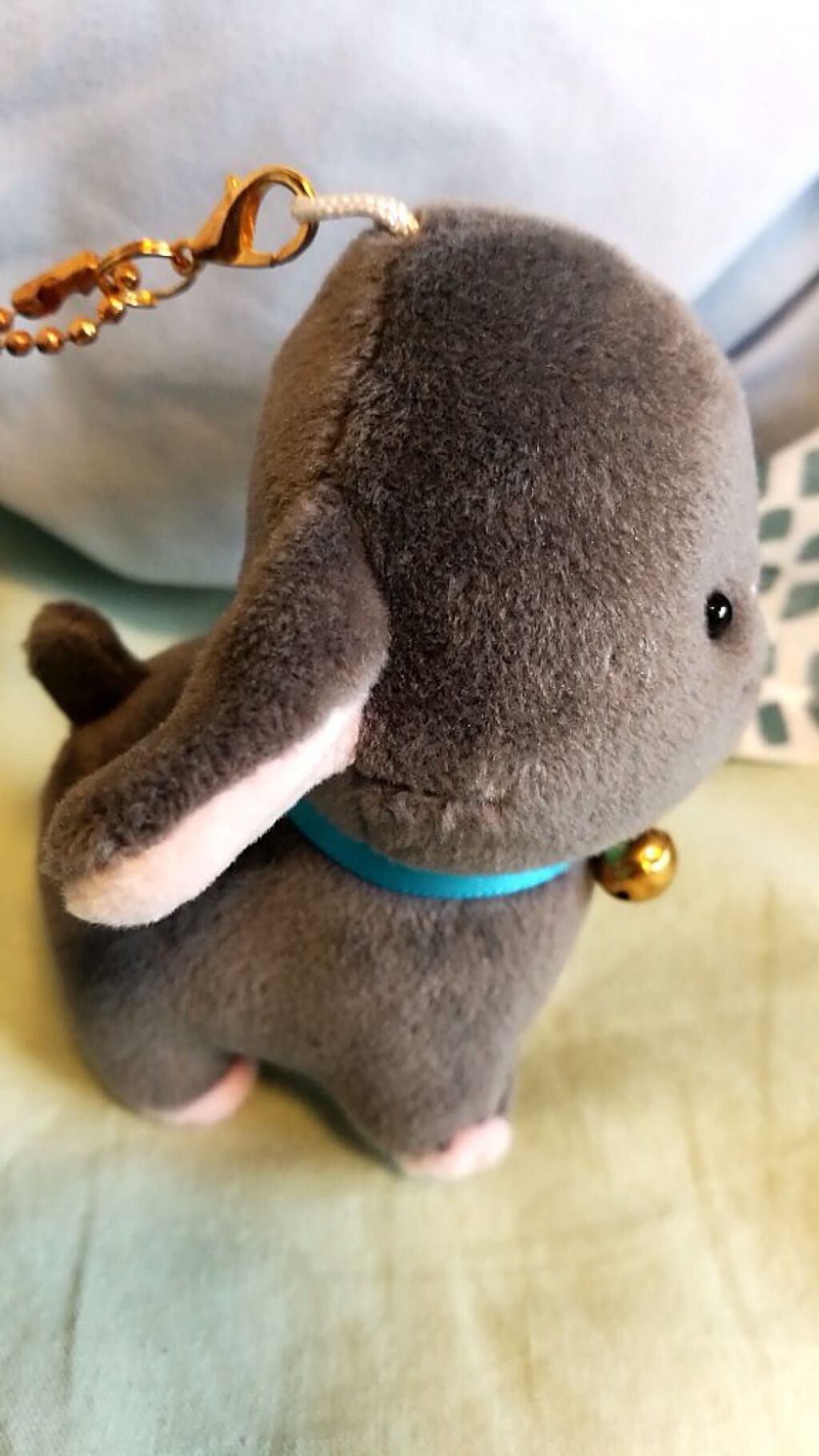 ( ꒪ͧ-꒪ͧ)うふふ