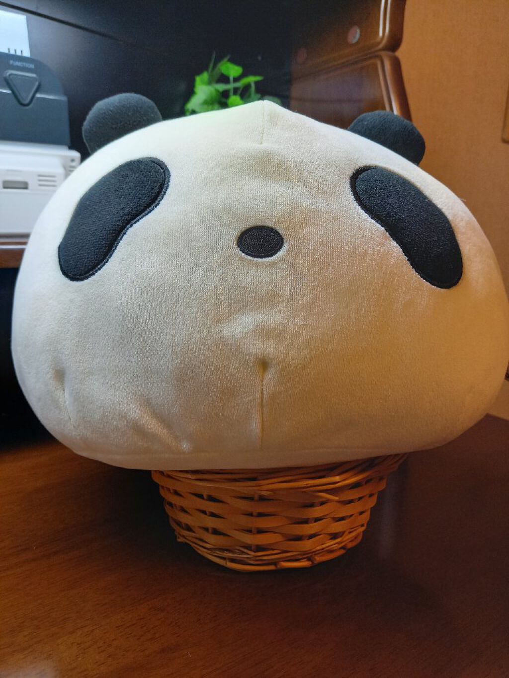 パンダのアイス