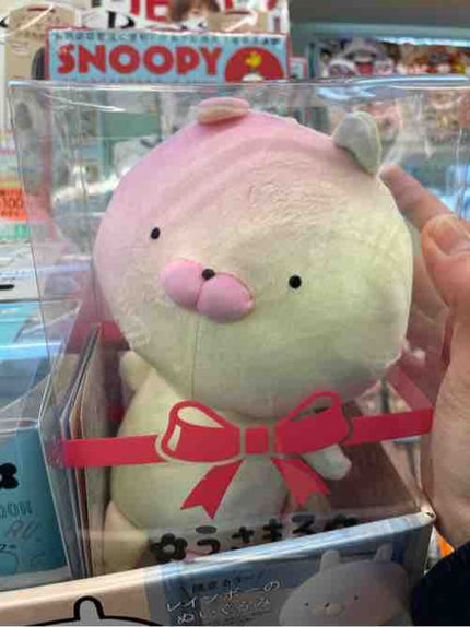 バニラ