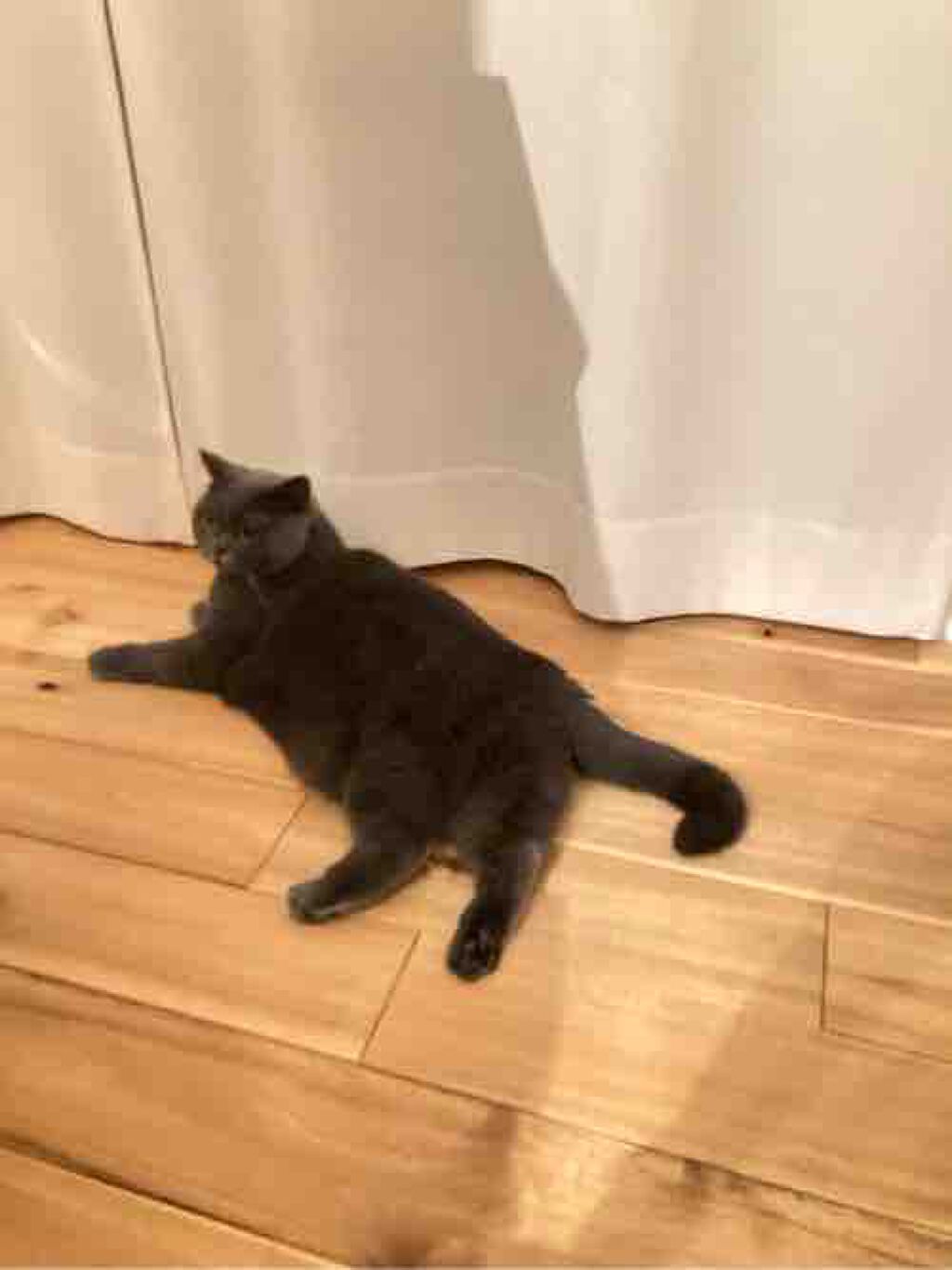 サロメ@フォロバ100❄️