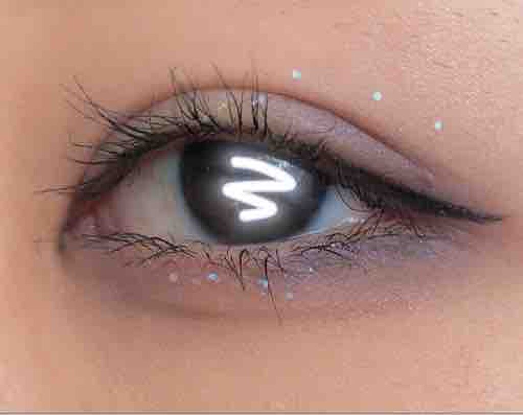 ふくよかなパエリア