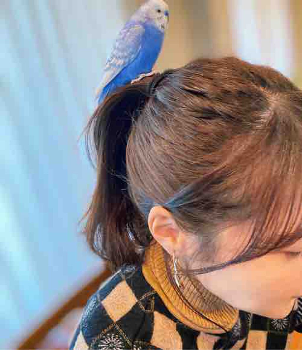 コスメ大好き社会人