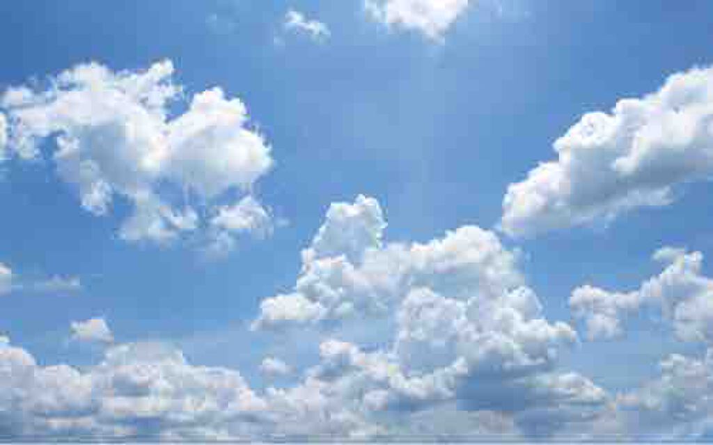 さくらんぼ🍒⑅⑅