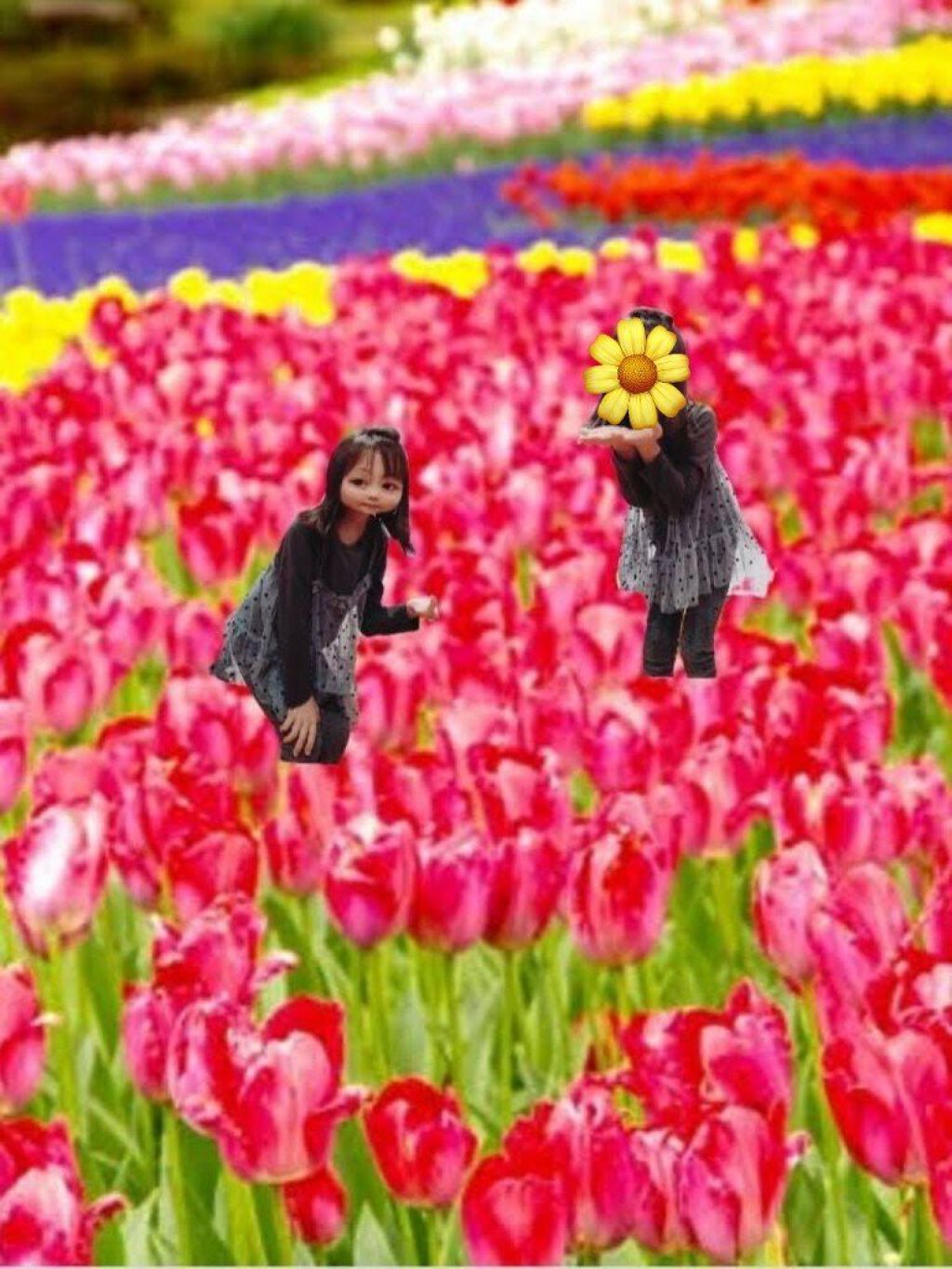 👩‍❤️‍👩りののん🧃