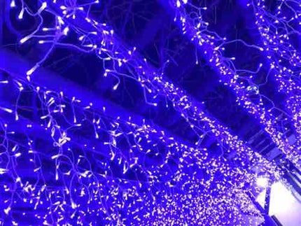 はりはり🦔𓂃 ⸒⸒ ⸒⸒